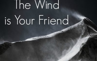 The Wind Is Your Friend