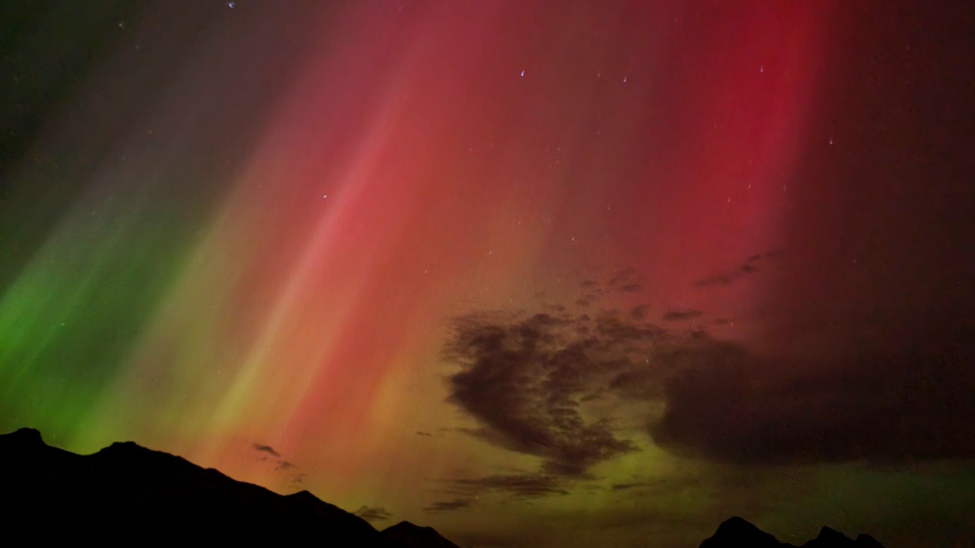 Aurora Borealis- Kootenay Plains Alberta